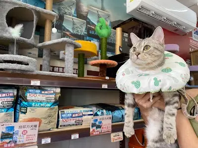 百分百寵物生活館 寵物美容(鳳林店)