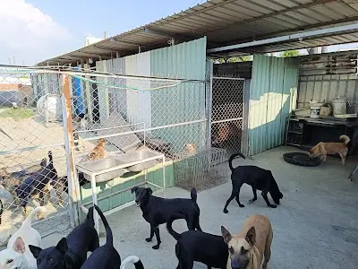 毛小孩的窩仁德園區