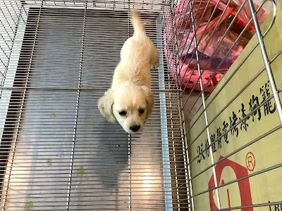 青山寵物生活館