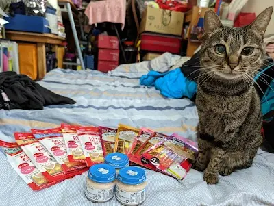 犬貴族寵物用品