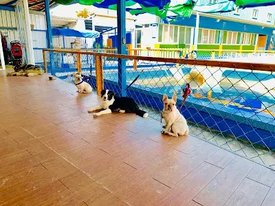 鹿和訓犬學校