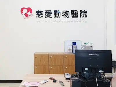 慈愛動物醫院-縣府分院