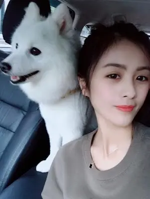 Gogolove狗狗樂寵物美容