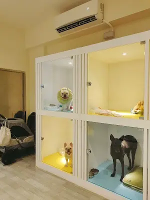 肉掌星球寵物旅館 / 寵物安親 / 寵物美容
