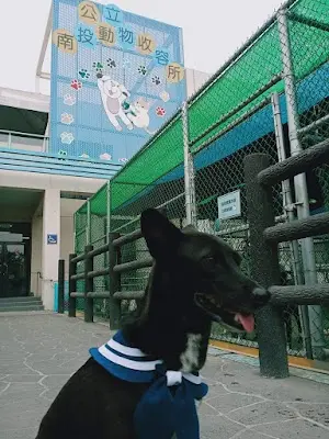 南投縣公立動物收容所