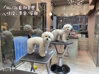 No.136寵物美學精品旅店