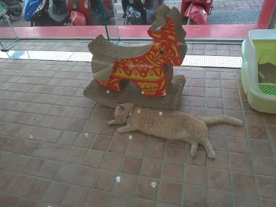 碰碰狗西區館