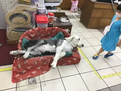 永昌寵物百貨行