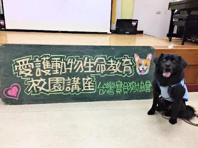 台灣寶貝狗協會